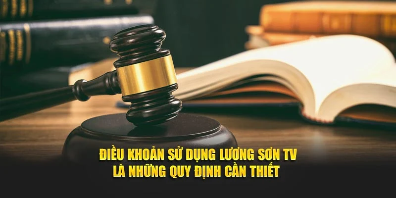 Điều khoản sử dụng Lương Sơn TV là những quy định cần thiết